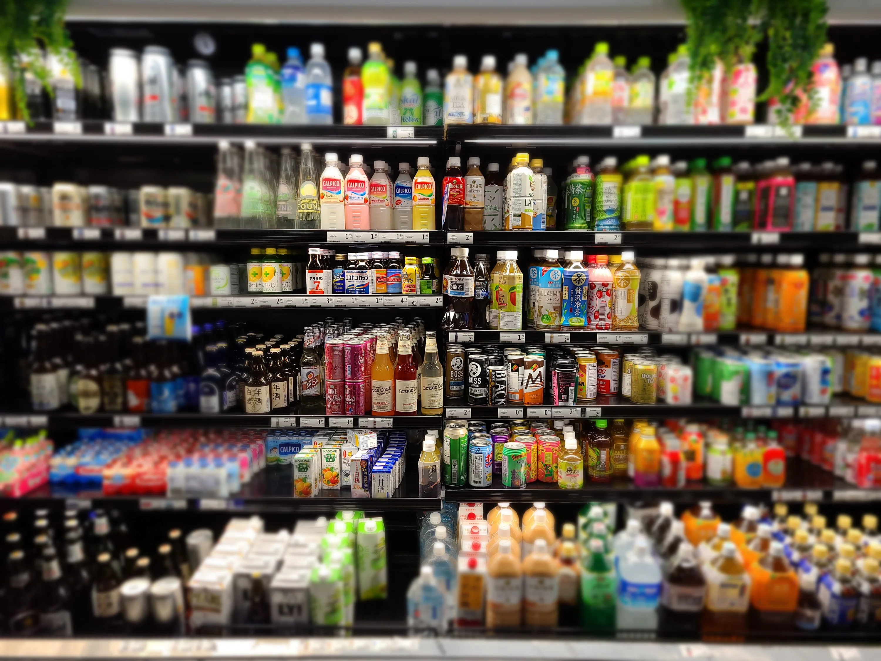 Freshness Delivered with Sunrise Mart