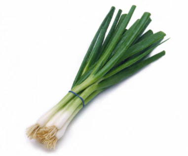 Scallion